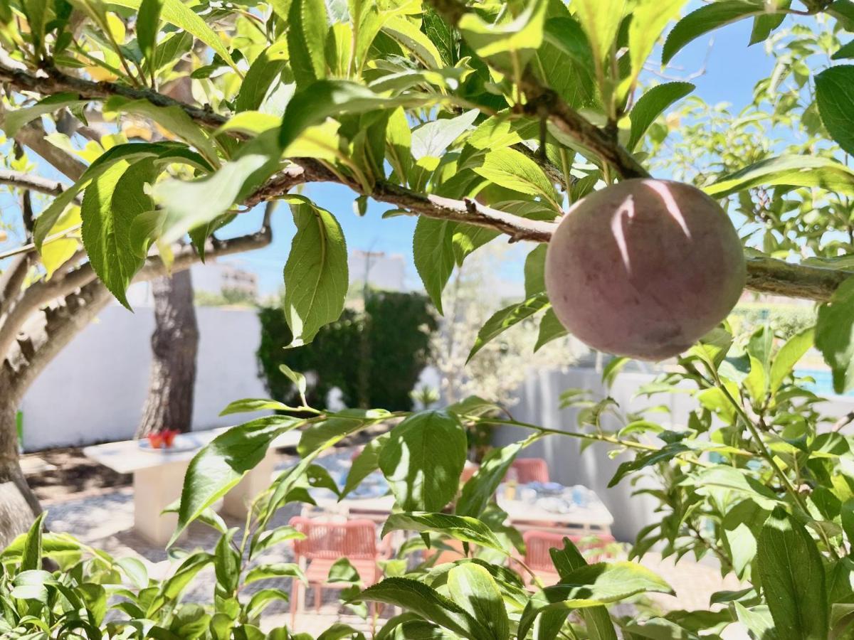 Charm Of The Algarve, Luxury Guesthouse Adults Only Olhao Ngoại thất bức ảnh